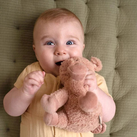 Porquinho Little Dutch