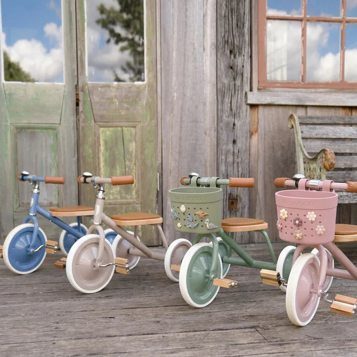 Pin & Ride cesta Banwood Dustyrose