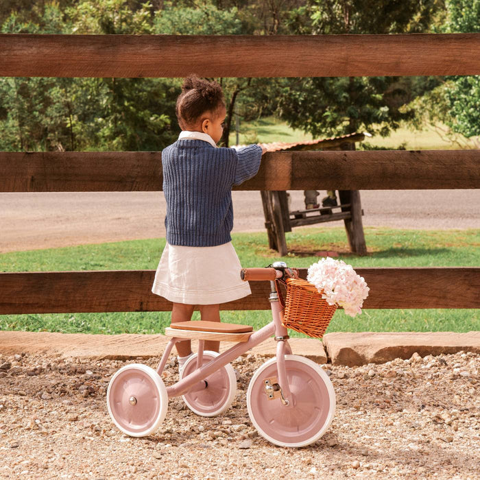 BANWOOD TRIKE VINTAGE - DUSTYPINK